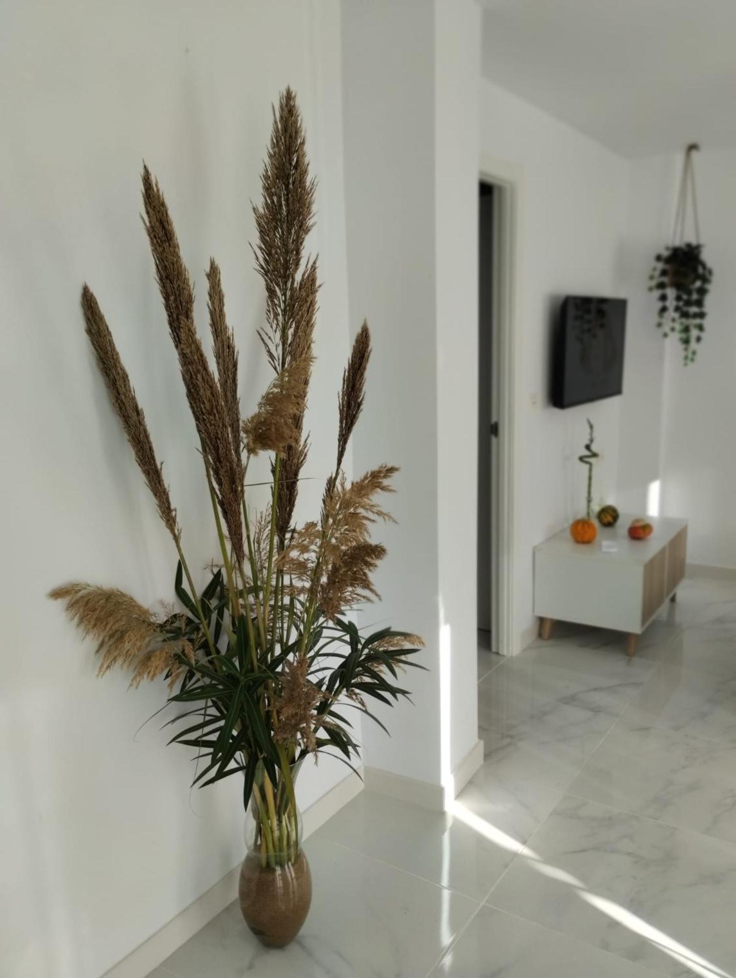 Apartamento Sun Gate Херес-де-ла-Фронтера Экстерьер фото